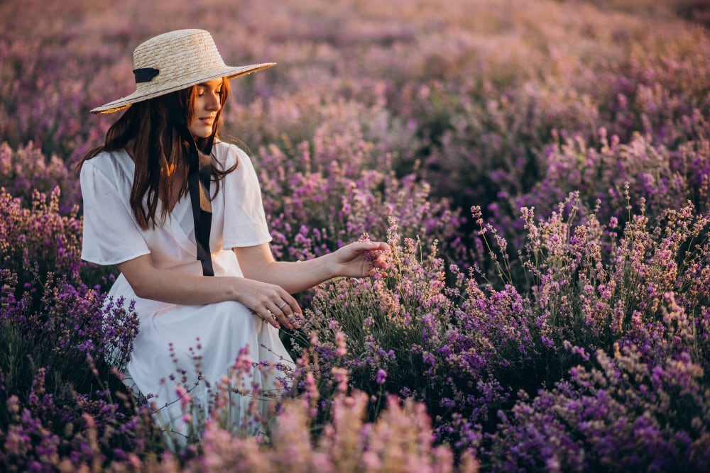 Lavanda pentru aromaterapie