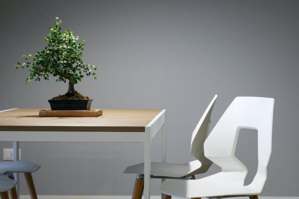 white and brown wooden table and chair set