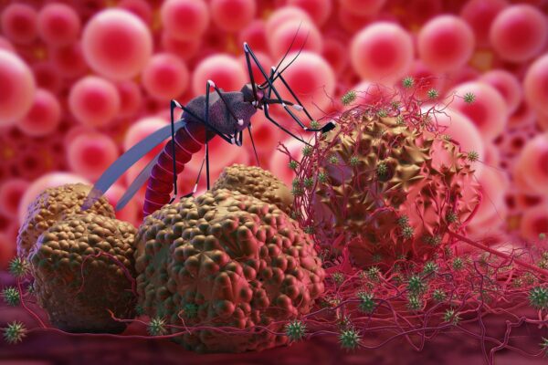 malaria